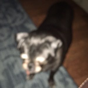 Meet your Posher, Todd